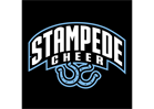 Cheer Camp